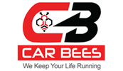 CAR BEES